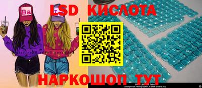 крисы Будённовск