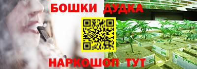 крисы Будённовск