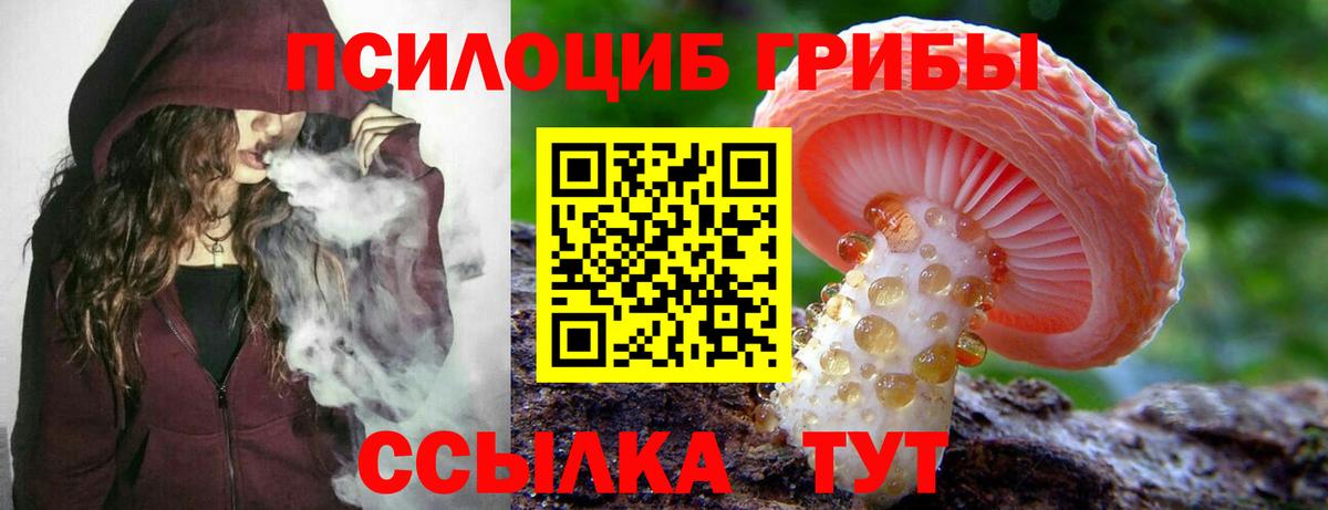 Псилоцибиновые грибы мицелий Новозыбков