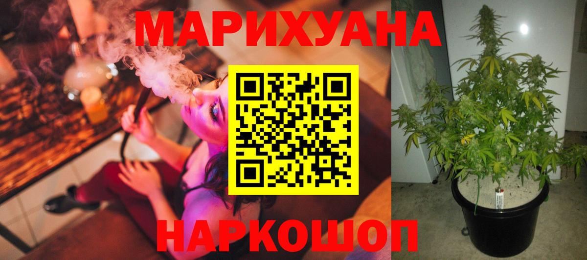 Бошки Шишки MAZAR Новозыбков